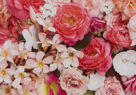 damar perfume Floral Perfumes