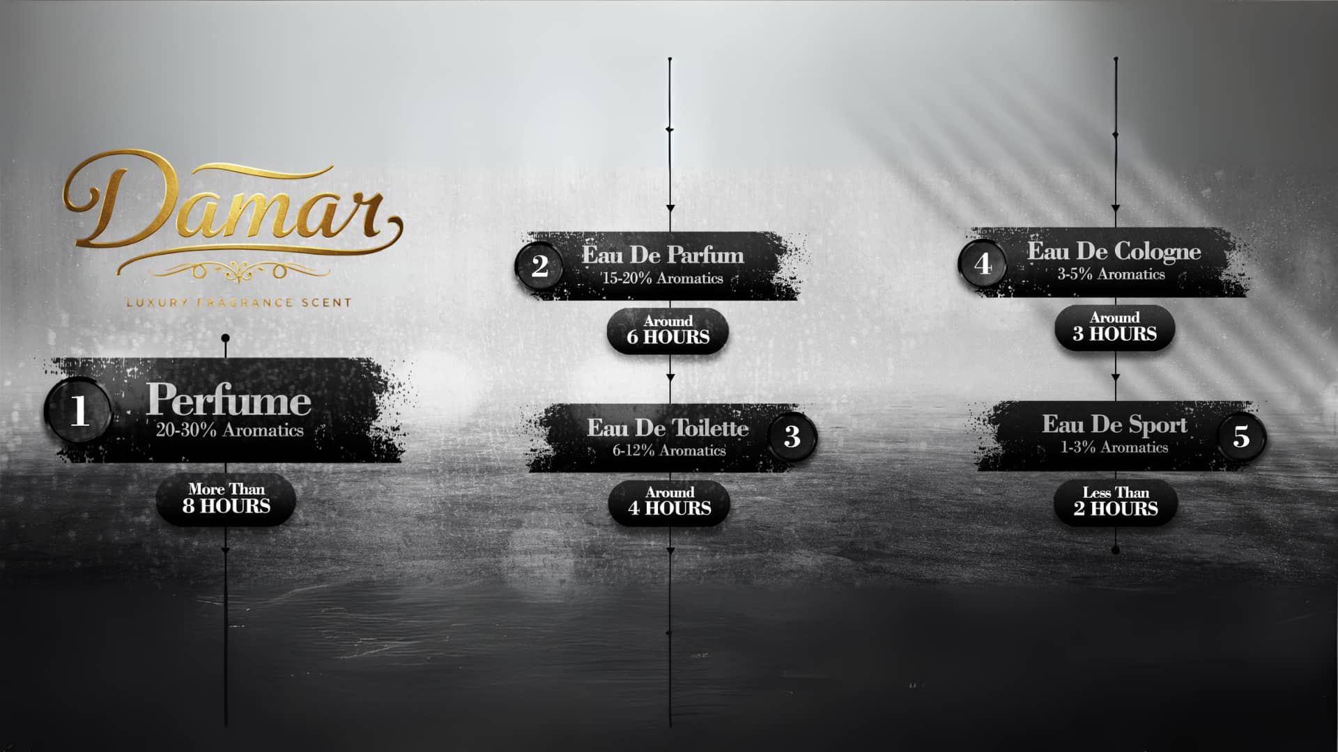 Infographic showing the concentrations of 5 types of Long-Lasting Perfumes