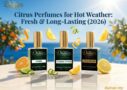 Citrus Perfumes for Hot Weather Fresh & Long-Lasting 2026